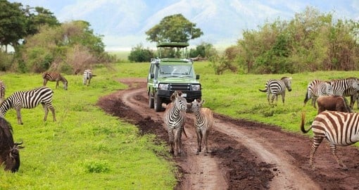 African Safari Africa Vacations The Middle East 21 Goway