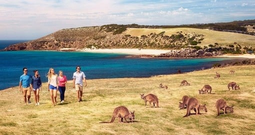 Australia Classics Vacations - 2024/25, Australia Trip